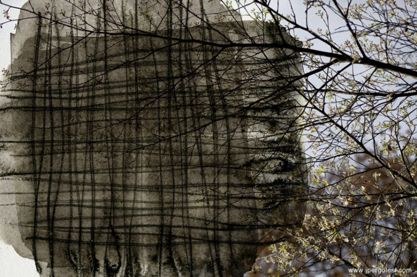 net_Etty